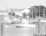boatsinbay.jpg